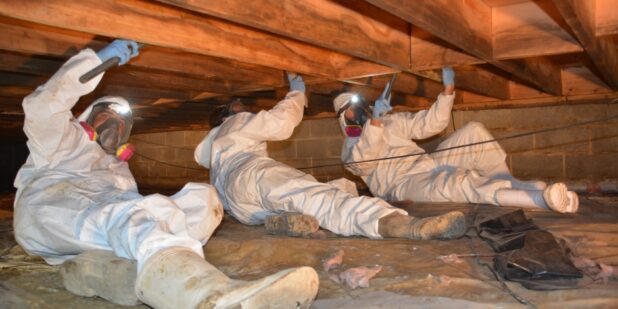 Why Do People Bother with Crawl Space Repairs? - World Magazine 2024